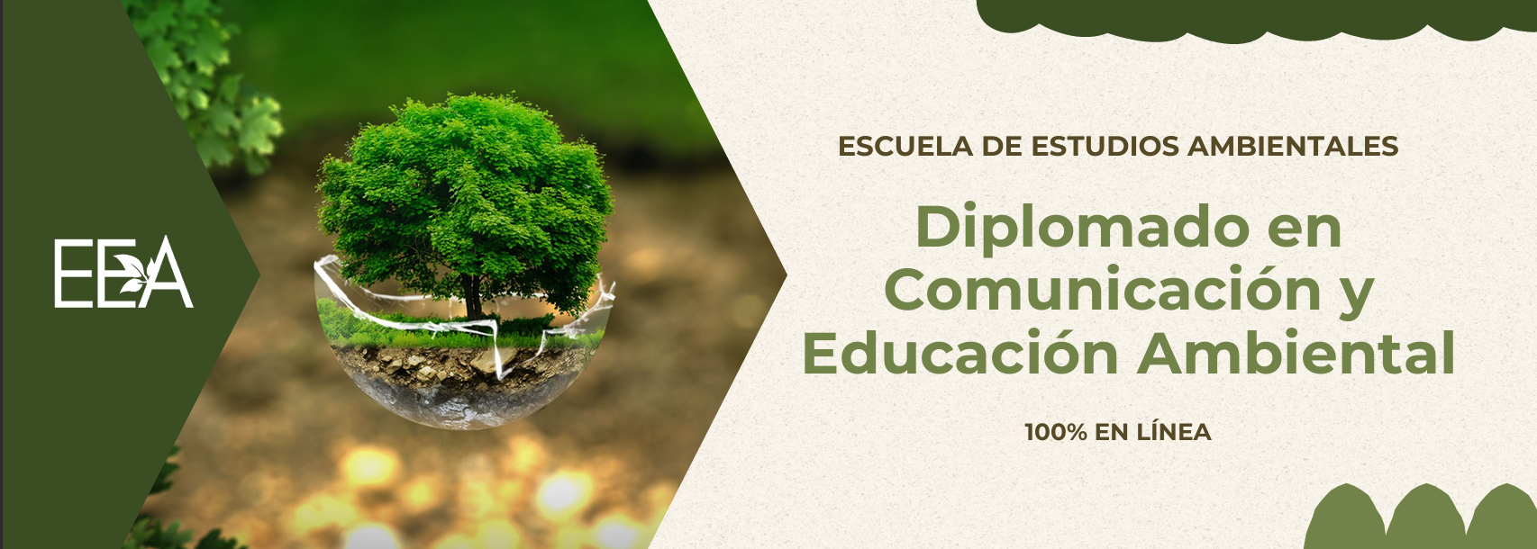 Diplomado en desarrollo