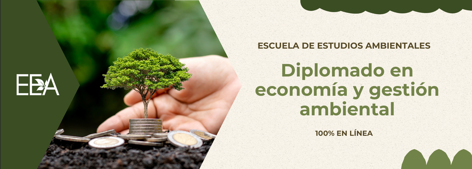 Diplomado en desarrollo